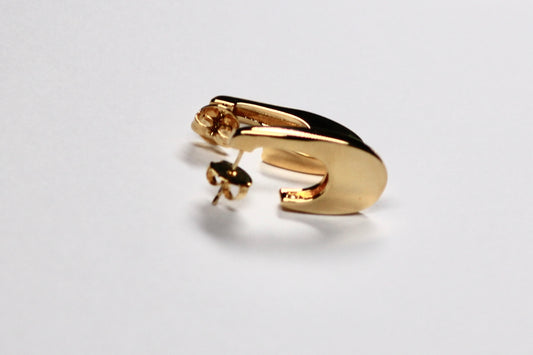 Hook Earrings
